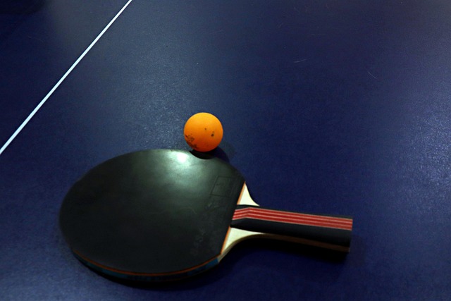 Fra hobby til verdensmesterskab: Vejen til vm i bordtennis
